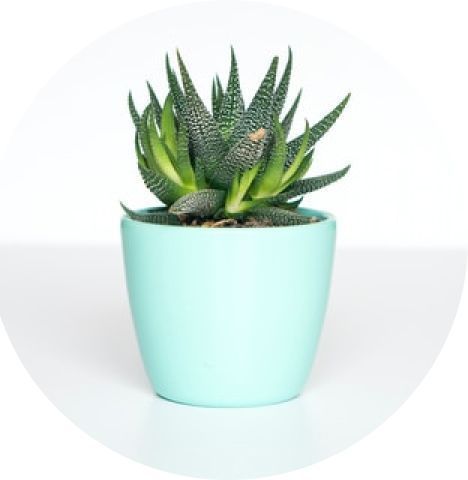 Descubre nuestros asociados